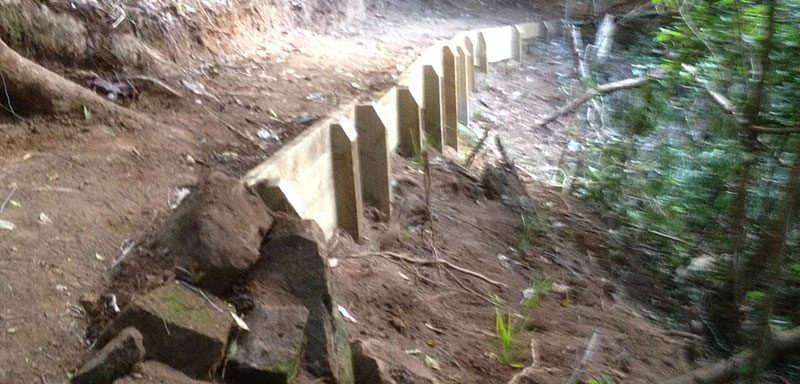 Landscaping - Before